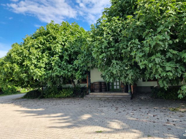 Eladó ipari ingatlan, Keszthelyen 150 M Ft, 3 szobás