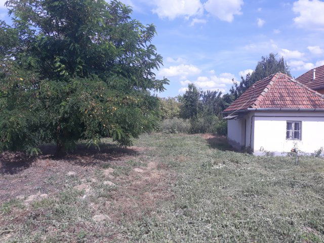 Eladó telek, Nagyhalászban 2.4 M Ft / költözzbe.hu