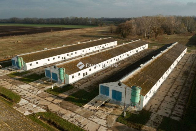 Eladó ipari ingatlan, Tiszaalpáron 550 M Ft / költözzbe.hu
