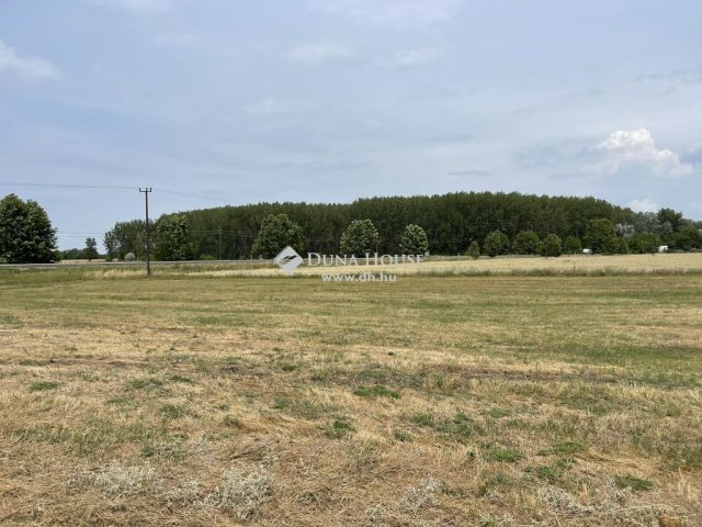 Eladó mezogazdasagi ingatlan, Kecskeméten 75 M Ft