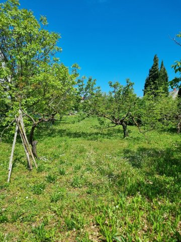 Eladó telek, Vonyarcvashegyen 45 M Ft / költözzbe.hu