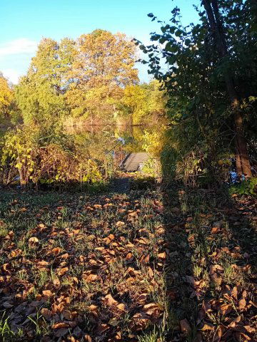 Eladó nyaraló, Gyomaendrődön 29.8 M Ft, 3+1 szobás