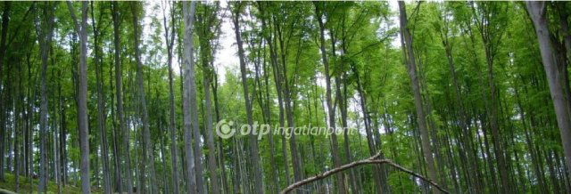 Eladó mezogazdasagi ingatlan, Pilisborosjenőn 12.99 M Ft