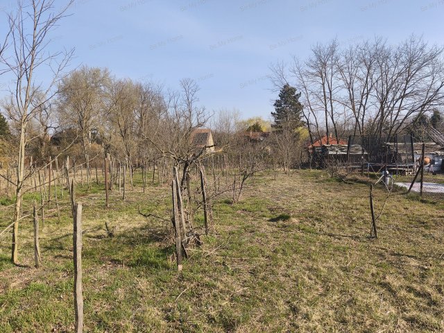 Eladó családi ház, Őrbottyánban 114.9 M Ft, 1+3 szobás