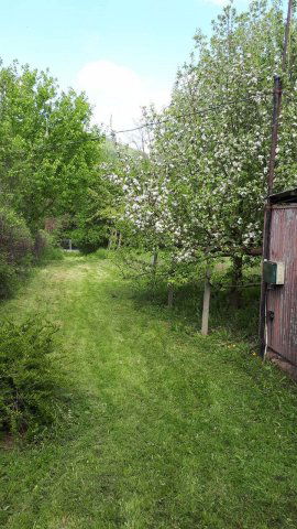 Eladó telek, Pilisszentkereszten 69.9 M Ft / költözzbe.hu