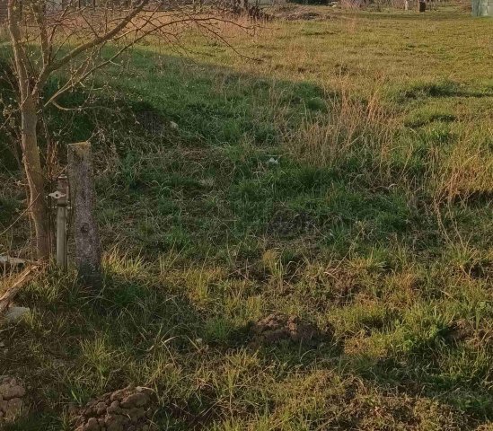 Eladó telek, Söréden 17.8 M Ft / költözzbe.hu