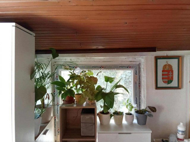 Eladó családi ház, Pécsett 13.5 M Ft, 1 szobás