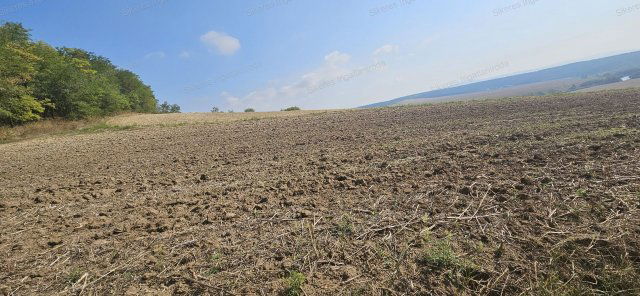 Eladó mezogazdasagi ingatlan, Szomoron 7 M Ft