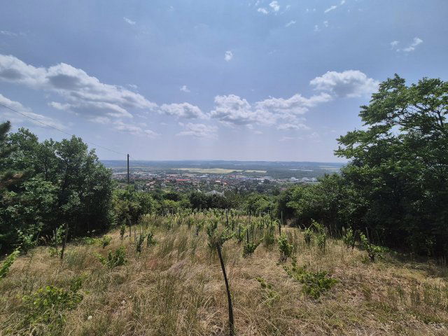 Eladó telek, Pécsett, Rizling dűlőn 4.9 M Ft