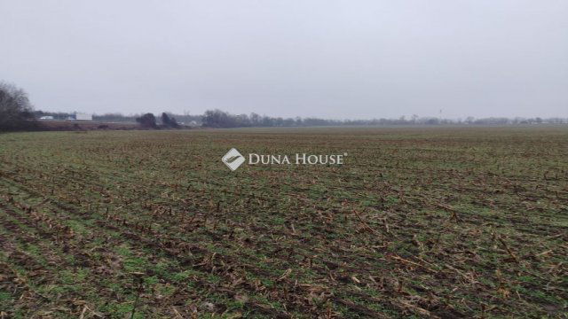 Eladó telek, Siófokon 2.5 M Ft / költözzbe.hu