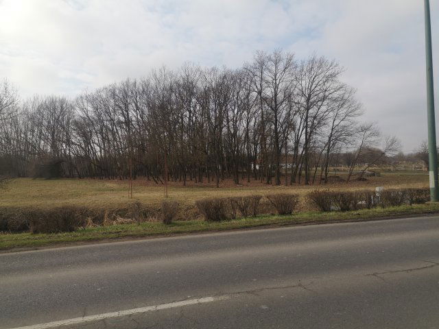 Eladó mezogazdasagi ingatlan, Gyulán 19.5 M Ft