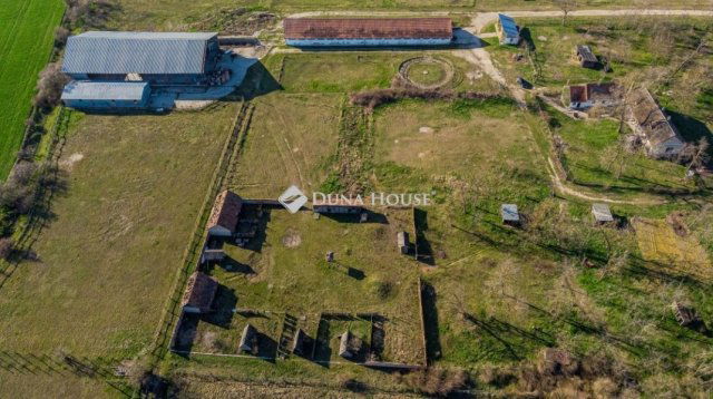 Eladó mezogazdasagi ingatlan, Délegyházán 139 M Ft