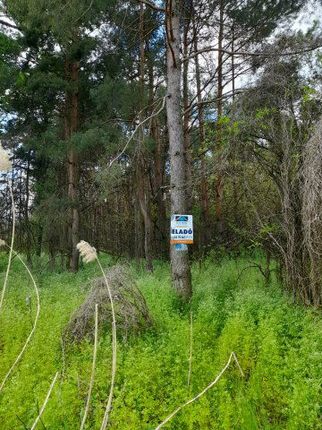 Eladó mezogazdasagi ingatlan, Tápióbicskén 18.9 M Ft