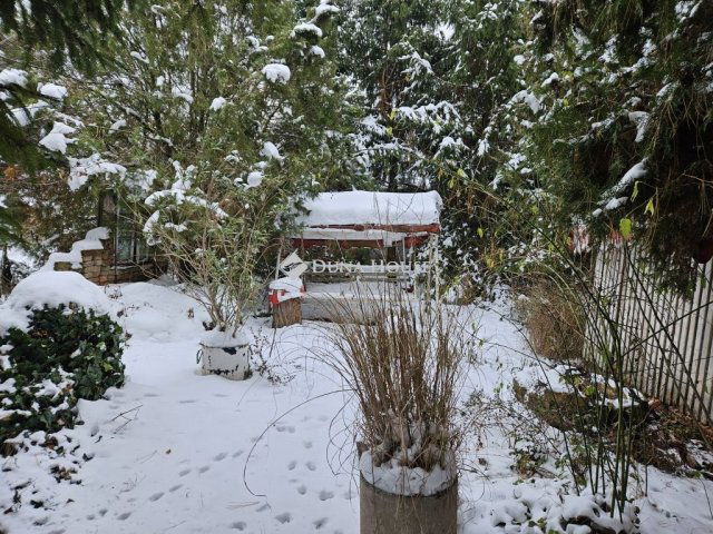 Eladó családi ház, Tárkányban 24 M Ft, 1+1 szobás