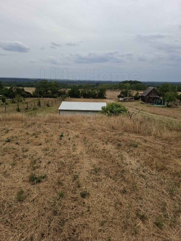 Eladó mezogazdasagi ingatlan, Bajon 16 M Ft / költözzbe.hu