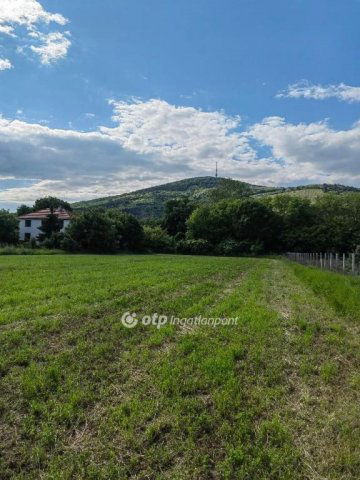 Eladó telek, Tokajban 19.5 M Ft / költözzbe.hu