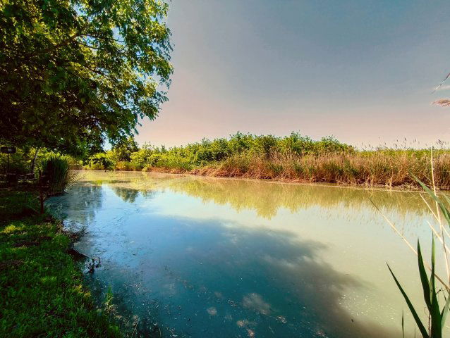 Eladó mezogazdasagi ingatlan, Mezőberényben 6.99 M Ft
