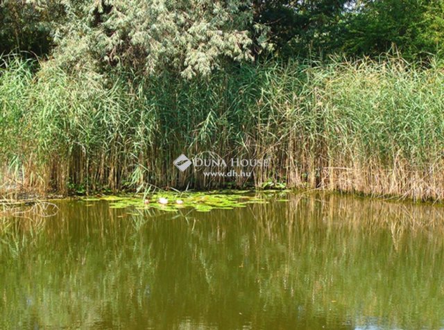 Eladó családi ház, Herceghalomon 439.9 M Ft, 5 szobás