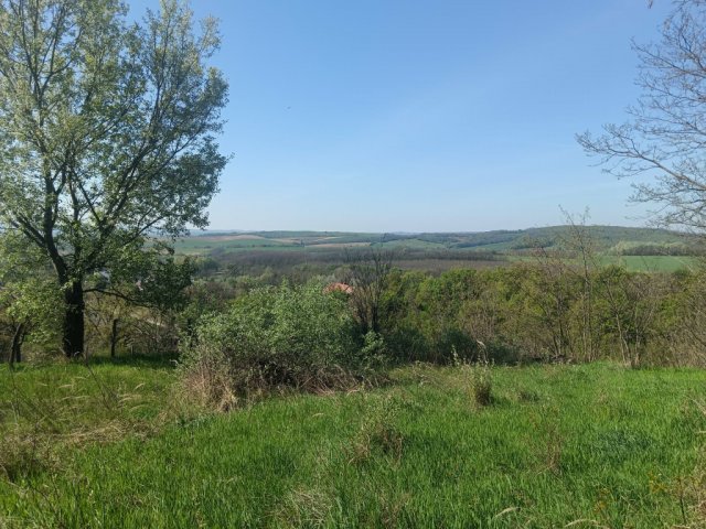 Eladó telek, Súron 11.8 M Ft / költözzbe.hu