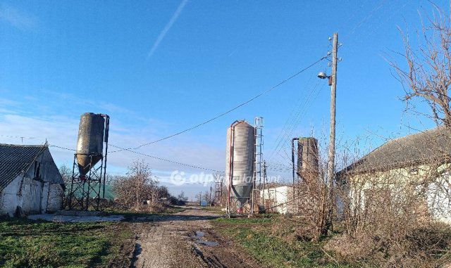 Eladó mezogazdasagi ingatlan, Csőszön 298 M Ft