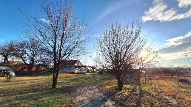 Eladó családi ház, Szatymazon 63 M Ft, 4 szobás