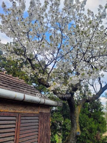 Eladó telek, Budapesten, XXII. kerületben 26.5 M Ft