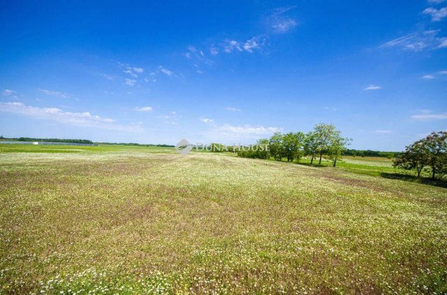 Eladó ipari ingatlan, Inárcson 120 M Ft / költözzbe.hu