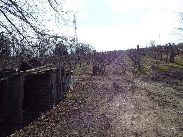 Eladó telek, Miskolcon 185 M Ft / költözzbe.hu