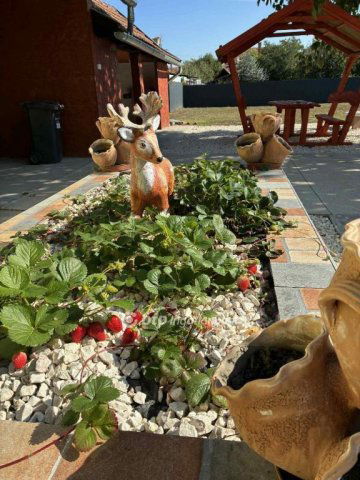 Eladó családi ház, Vésztőn 38.5 M Ft, 2+1 szobás