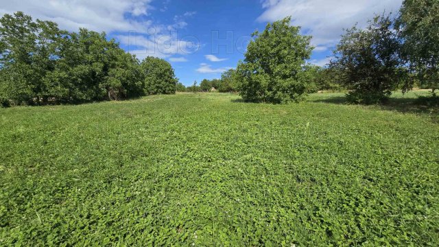 Eladó mezogazdasagi ingatlan, Balatonberényben 8.4 M Ft