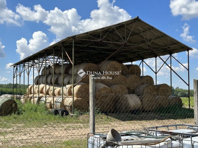 Eladó mezogazdasagi ingatlan, Monoron 200 M Ft
