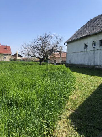 Eladó telek, Tiszaszőlősön 12 M Ft / költözzbe.hu