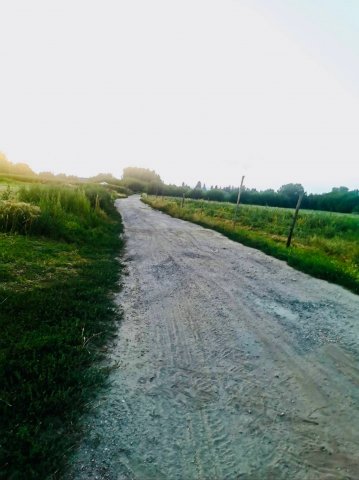 Eladó telek, Zamárdiban 68.5 M Ft / költözzbe.hu