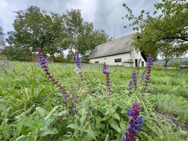 Eladó nyaraló, Dörgicsén 49.9 M Ft, 2 szobás