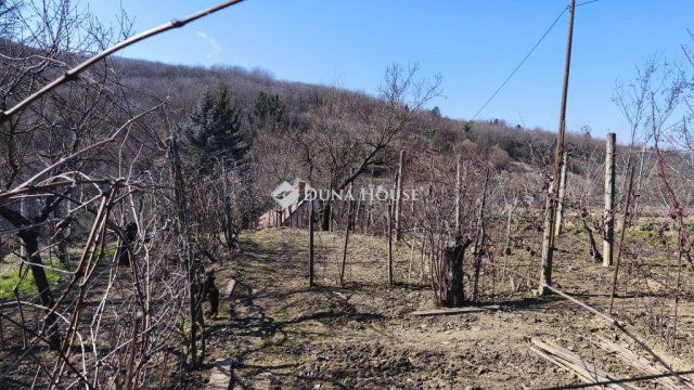 Eladó telek, Pellérden 3.9 M Ft / költözzbe.hu