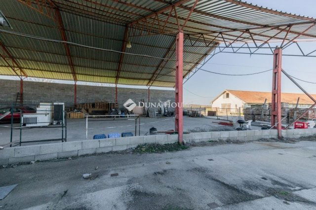 Eladó mezogazdasagi ingatlan, Délegyházán 139 M Ft