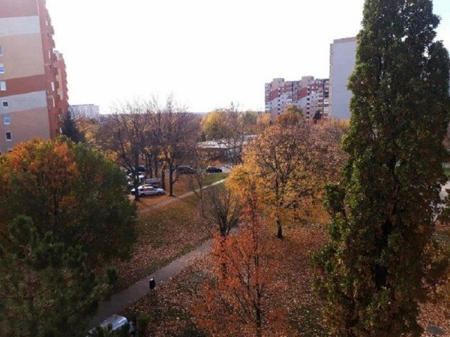 Kiadó panellakás, albérlet, Székesfehérvárott 145 E Ft / hó