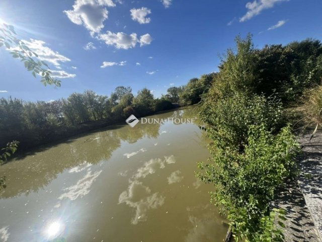 Eladó családi ház, Tiszaszigeten 45 M Ft, 2 szobás