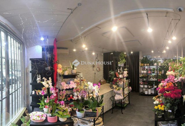 Kiadó üzlethelyiség, Budapesten, V. kerületben, Báthory utcában