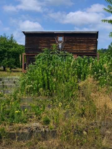 Eladó családi ház, Nagymaroson 76 M Ft, 3 szobás