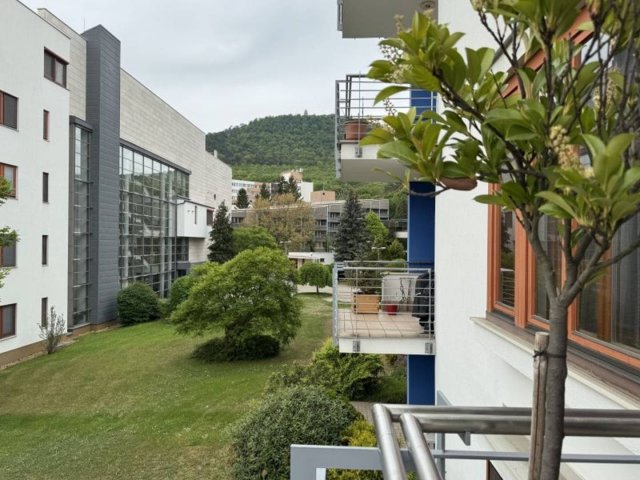 Kiadó téglalakás, albérlet, Budapesten, II. kerületben