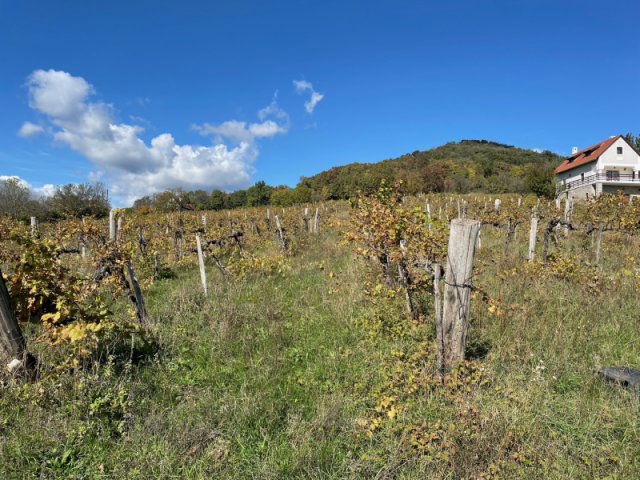 Eladó telek, Monoszlón 185 M Ft / költözzbe.hu