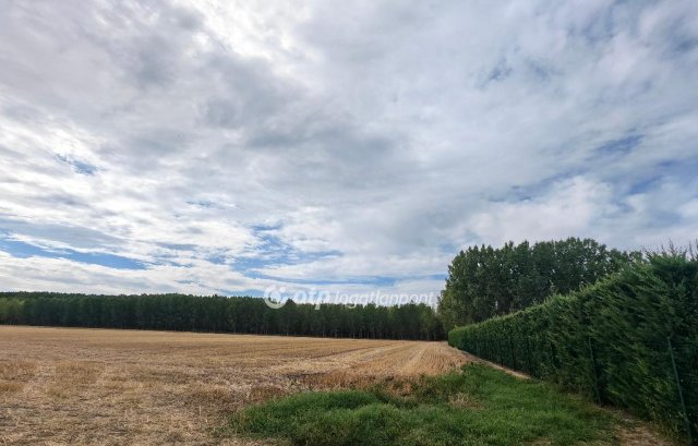 Eladó mezogazdasagi ingatlan, Ceglédbercelen 5.9 M Ft