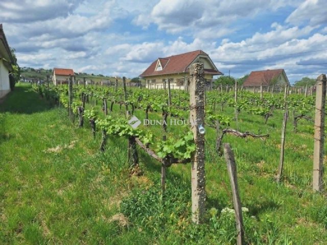 Eladó telek, Villányban 29.9 M Ft / költözzbe.hu