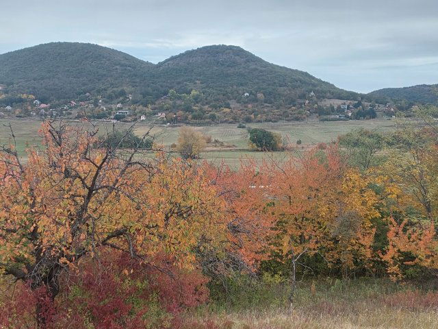 Eladó telek, Esztergomban 7.5 M Ft / költözzbe.hu