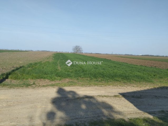 Eladó telek, Polgárdin 10.8 M Ft / költözzbe.hu