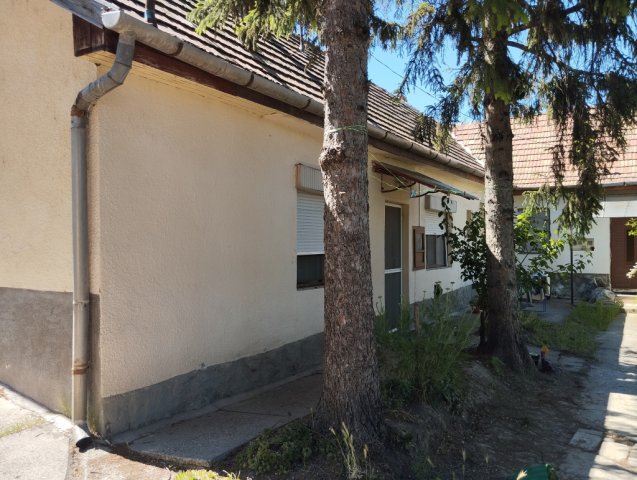 Eladó családi ház, Dorogon 21 M Ft, 1 szobás