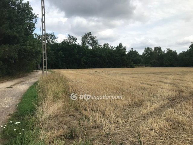 Eladó telek, Gyomaendrődön 10.5 M Ft / költözzbe.hu