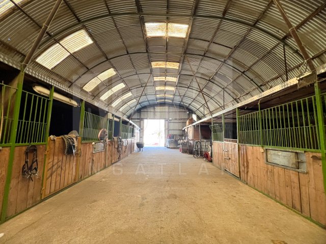 Kiadó családi ház, albérlet, Fertőszentmiklóson 790 E Ft / hó