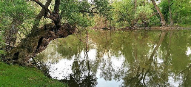 Eladó telek, Győrött 19.9 M Ft / költözzbe.hu